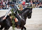Pferd International 096